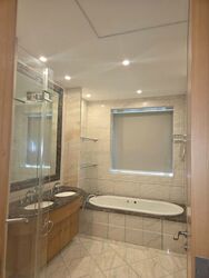 Ardmore Park (D10), Condominium #517511171